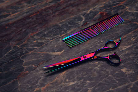 hairstyle tools scissors studio