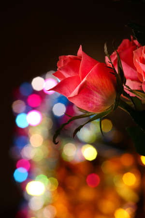 red rose gold bokehの写真素材