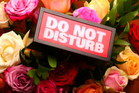 bouquet messageの写真素材