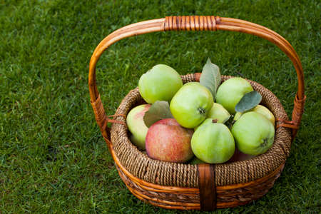 green apple summer gardenの写真素材