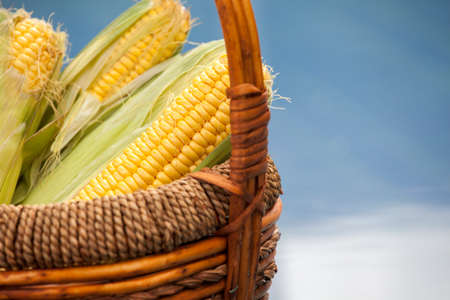 Corn Basket summer garden