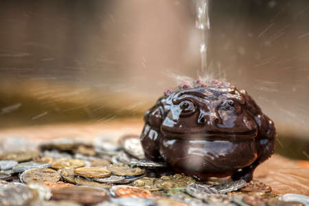 Money Toad Water drops