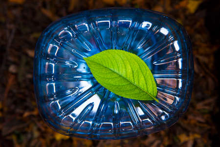 plastic bottle green leaf