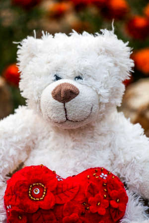 wool bear red heart gardenの写真素材