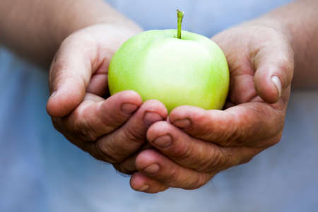 Man hands green apple gardenの写真素材