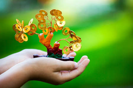 Money tree children hands