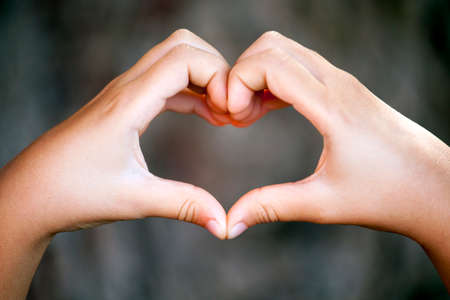 hands love symbol treeの写真素材