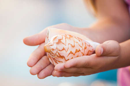 Seashell girl hands beachの写真素材
