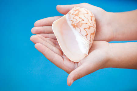Seashell girl hands beachの写真素材