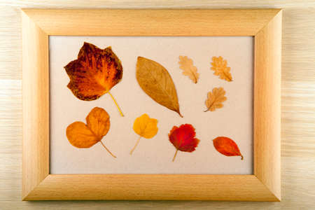 autumn leafs frame wooden tableの写真素材