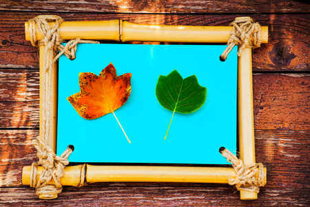 yellow green Leafs photo frame wooden table