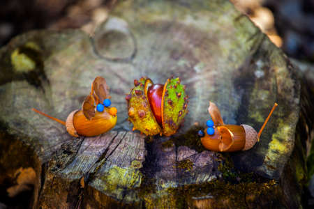 Handmade mouse acorn forest chestnut