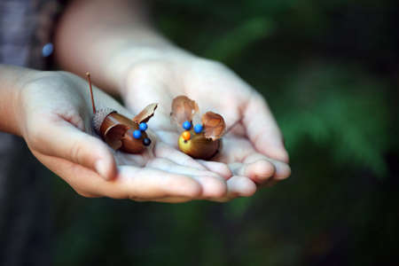 Acorn girl hands autumnの写真素材