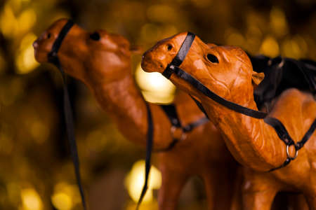 Two camel figure studioの写真素材