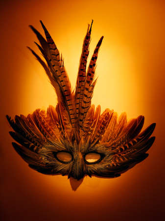 bird Carnaval Mask Wallの写真素材