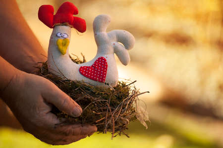 man hands nest Toy Chickenの写真素材
