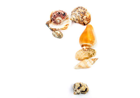 Seashell question symbol studio