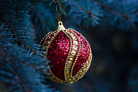 New year toy ball fir tree nature