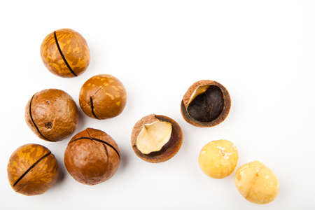 Macadamia nut white backgroundの写真素材