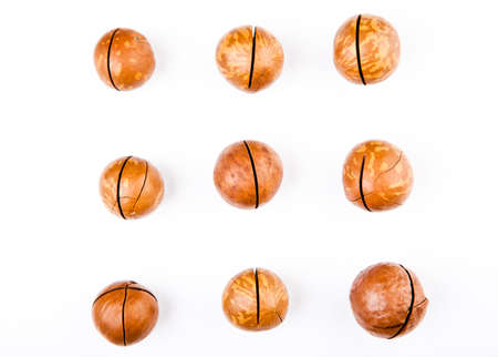 Macadamia nut white background