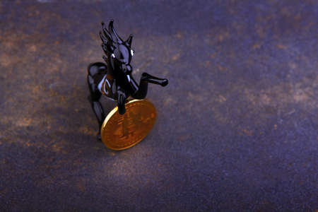 bitcoin coin black horse
