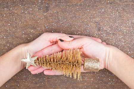 miniature fir tree woman handsの写真素材