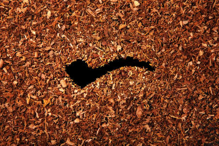 tobacco background smoking pipe symbolの写真素材