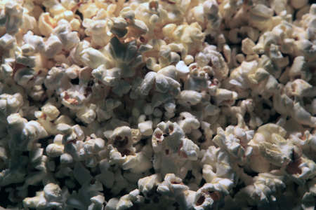 pop corn background nobodyの写真素材