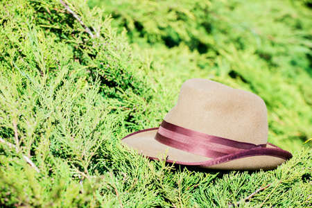 Vintage hat garden nobodyの写真素材
