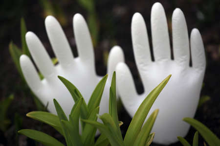 White silicon gloves garden nobodyの写真素材