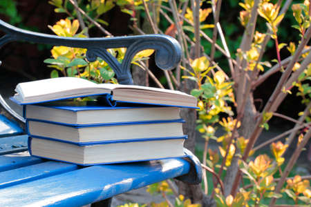 Book bench wind tree background nobodyの写真素材