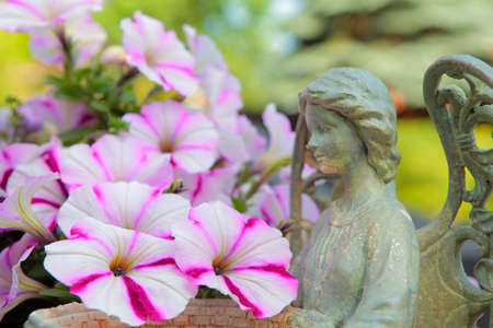Angle statue flower garden backgroundの写真素材