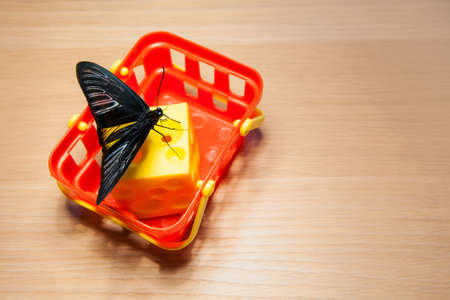 plastic basket cheese butterfly wooden tableの写真素材