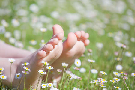children foot camomile field background