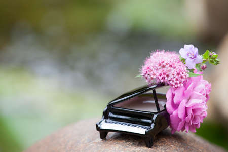 piano flower river background nobodyの写真素材