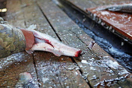 fish clean wooden table background