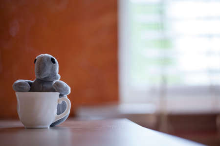window hot tea cup plush sealの写真素材