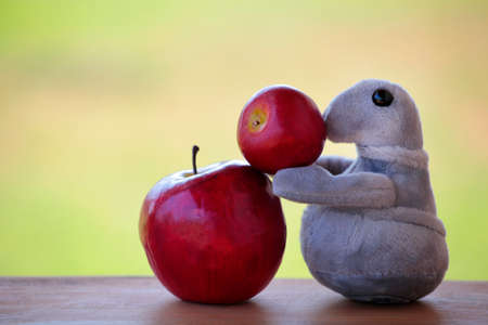 apple plush seal wooden backgroundの写真素材