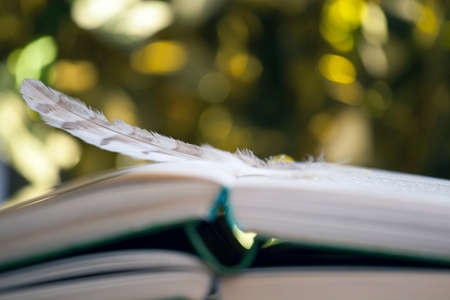 feather book wind gold bokehの写真素材