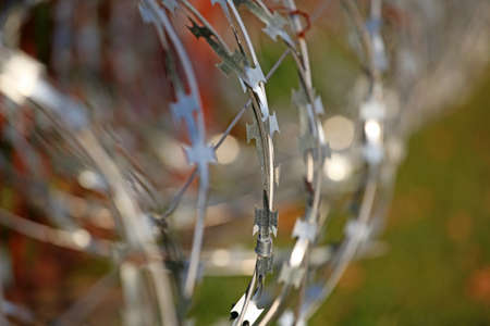 fence iron protection grass backgroundの写真素材