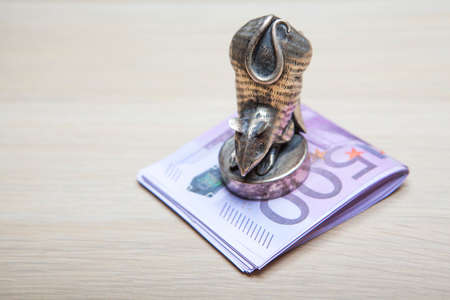 money rat wooden table backgroundの写真素材