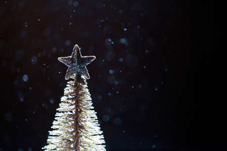 fir tree snow dark backgroundの写真素材