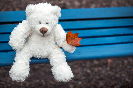 wool bear autumn leaf benchの写真素材