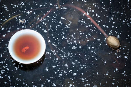 hot tea cup frozen lake backgroundの写真素材