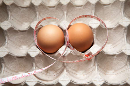 chicken egg paper box backgroundの写真素材