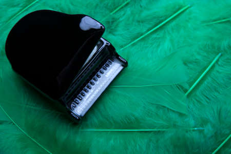 black piano bird feather backgroundの写真素材