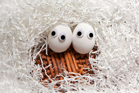 chicken egg cut paper basket backgroundの写真素材