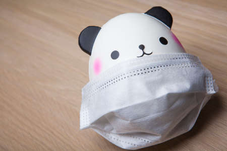image of panda with mask on table