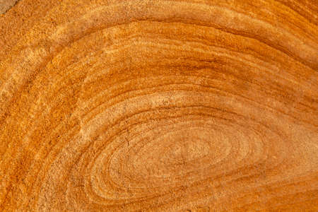 image of sharp stone backgroundの写真素材