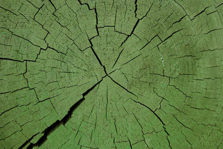 image of wooden stub backgroundの写真素材